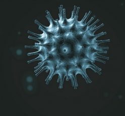 Has Corona Virus Affected Travel in Nepal