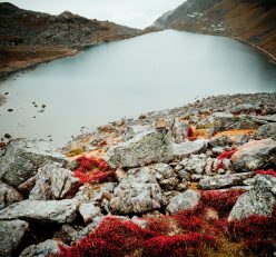 Best Treks in langtang Region