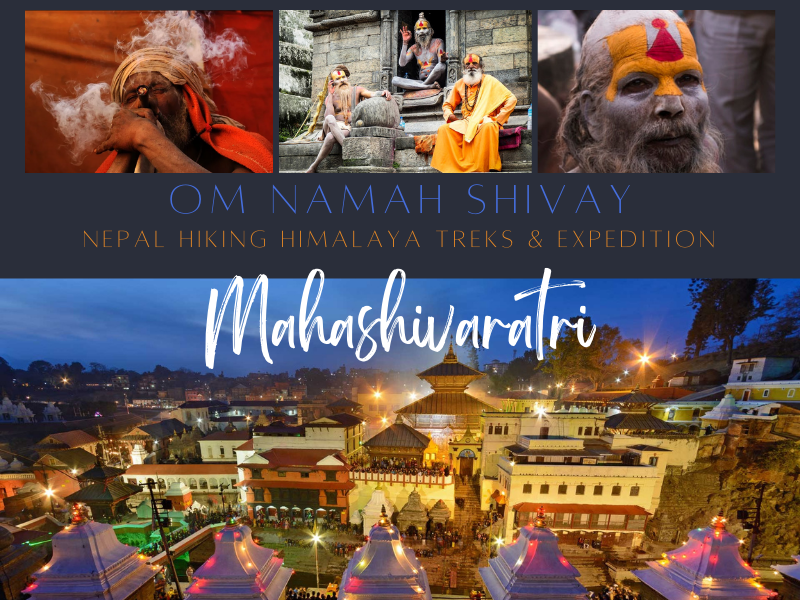 Mahashivaratri Festival and Marijuana Myth